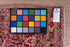 Antique Meshed Area Rug (8' x 11')